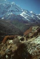 yak e facchino Nepal foto