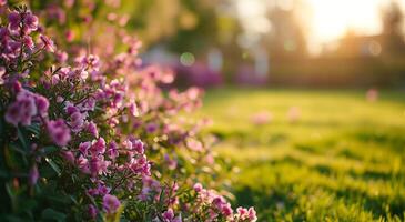 primavera radura con fioritura rosa fiori nel soleggiato giorno. tranquillo naturale primavera paesaggio con fiori. sfocato foresta campo sfondo foto