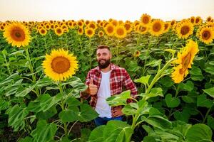 contento contadino è in piedi nel il suo girasole campo quale è nel fiore. lui è contento perché di bene stagione e bene progresso di il impianti. foto