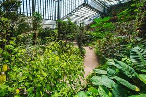 il freddo Casa estufa fria è un' serra con giardini, stagni, impianti e alberi nel Lisbona, Portogallo foto