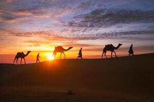 indiano cammellieri cammello autista con cammello sagome nel dune su tramonto. jaisalmer, Rajasthan, India foto