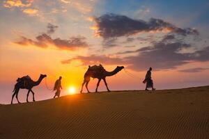 indiano cammellieri cammello autista con cammello sagome nel dune su tramonto. jaisalmer, Rajasthan, India foto