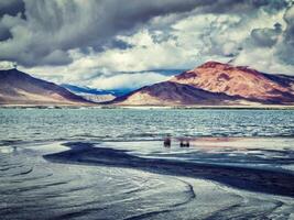 sale lago tso kar nel himalaya. ladakh, India foto