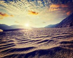 dune di sabbia. valle della Nubra, Ladakh, India foto