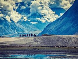 turisti equitazione cammelli nel nubra valle nel Himalaya, ladakh foto