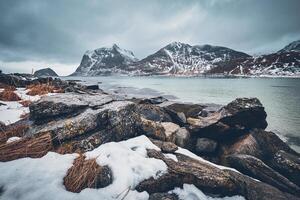 roccioso costa di fiordo nel Norvegia foto