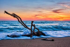 ld legna tronco intoppo nel acqua a spiaggia su bellissimo tramonto foto