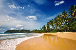 idilliaco spiaggia. sri lanka foto