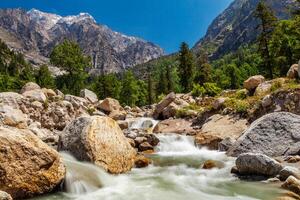 montagna ruscello nel himalaya. foto