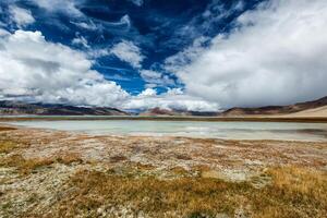 tso kar fluttuante sale lago nel Himalaya foto