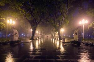 Guangzhou persone parco con nebbia a notte, Cina foto