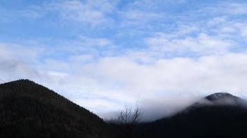 pioggia autunnale e nebbia sulle colline di montagna. nebbiosa foresta autunnale coperta di nuvole basse. Ucraina. abeti rossi sulle colline delle montagne che spuntano dalla nebbia mattutina sui paesaggi autunnali. foto