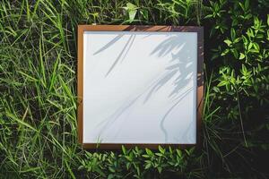 un' pianura bianca telaio modello, posa su erba nel soleggiato giorno. foto