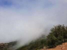 mozzafiato naturale bellezza di abha nel Arabia arabia nel il estate stagione. alto montagne, verde, Basso nuvole e nebbia siamo il bellezza di ahah. foto