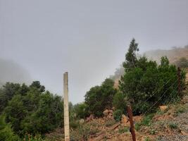 mozzafiato naturale bellezza di abha nel Arabia arabia nel il estate stagione. alto montagne, verde, Basso nuvole e nebbia siamo il bellezza di ahah. foto