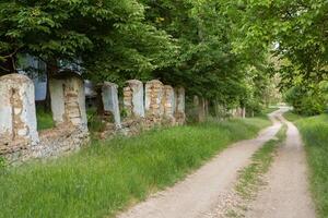 bellissimo estate paesaggio con verde alberi, verde prati su il banca di il fiume nel repubblica di moldova. foto