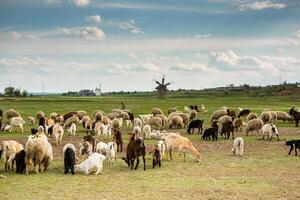 paesaggio con bellissimo natura nel il villaggio nel il repubblica di moldova. nazione vita nel orientale Europa. foto