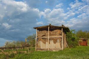 paesaggio con bellissimo natura nel il villaggio nel il repubblica di moldova. nazione vita nel orientale Europa. foto