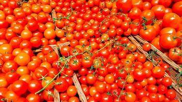 pomodori rossi in una scatola su uno scaffale in un supermercato. pomodori rossi con code in un contenitore di plastica vista dall'alto foto