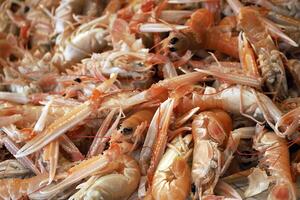 scampi gamberetti fresco pesce frutti di mare a ortigia siracusa sicilia pesce mercato Italia foto