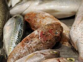 fresco pesce frutti di mare a ortigia siracusa sicilia pesce mercato Italia foto