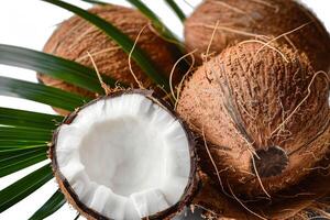 tropicale noci di cocco appena incrinato, rivelatrice bianca carne contro un' croccante bianca fondale foto