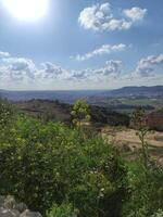 panoramico Visualizza di beh shemesh paesaggio con fiori selvatici foto