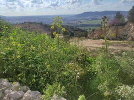 panoramico Visualizza di beh shemesh paesaggio con fiori selvatici foto