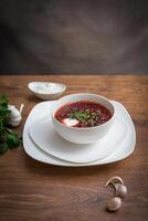 rosso borscht la minestra con aneto nel bianca ciotola. foto
