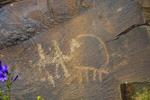 petroglifi entro il archeologico paesaggio di taggaly. almaty la zona, Kazakistan foto