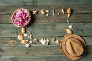 varietà di mare conchiglie su un' di legno sfondo foto