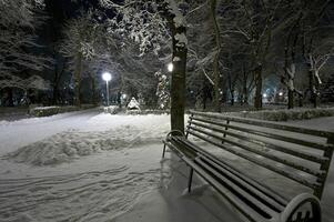 inverno città parco foto