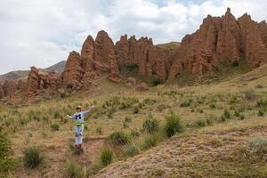 asino altopiano nel tien-shan montagna kazakistan foto