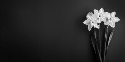 sfondo per simpatia carta. monocromatico foto di bianca fiore mazzo su nero sfondo. copia spazio