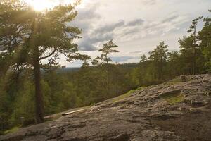 skurugata nel piccolo, Svezia. punto di vista con Visualizza al di sopra di foreste nel Scandinavia. foto