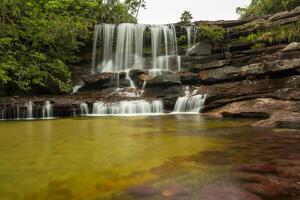 cano cristalli è un' fiume nel Colombia quello è collocato nel il sierra de la macarena, nel il Dipartimento di meta. esso è considerato di molti come il maggior parte bellissimo fiume nel il mondo foto