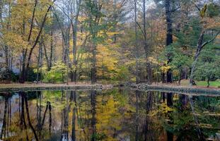 Connecticut autunno colori foto