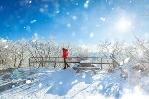 in cima il snow-capped deogyusan montagne su un' chiaro giorno e il neve soffiato di il vento nel inverno,sud Corea. foto