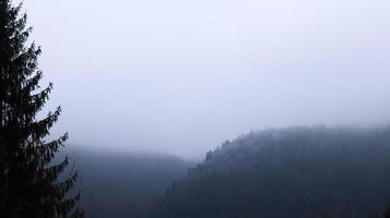 pioggia autunnale e nebbia sulle colline di montagna. nebbiosa foresta autunnale coperta di nuvole basse. Ucraina. abeti rossi sulle colline delle montagne che spuntano dalla nebbia mattutina sui paesaggi autunnali. foto
