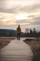 del fotografo camminare a tramonto lungo di legno percorsi nel il alto paludi, Vallonia, Belgio. Guardando il tramonto con un' zaino su il tuo indietro foto