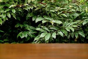 selettivo messa a fuoco e sfocatura su di legno tavolo con verde le foglie come commerciale sfondo foto