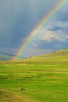 arcobaleno dopo il tempesta nel il montagne di almaty regione nazionale parco asino foto