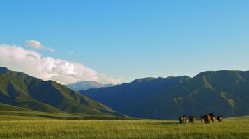 di cavalli esso è passato nel il alpino prato foto