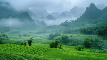 il verde riso terrazze nel il montagne di Vietnam foto