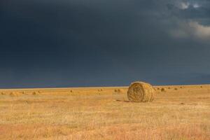 campo dopo il raccogliere foto