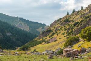 tien Shan montagne. asino altopiano. Kazakistan foto