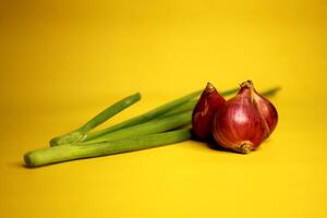 il principale ingrediente di il piatto è scalogno e il complementare ingrediente è primavera cipolle nel uno immagine.ient cipolla le foglie nel uno immagine foto