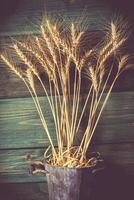 Grano orecchie su il di legno tavolo. covone di Grano al di sopra di legna sfondo. raccogliere concetto foto