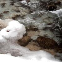 inverno alberi nel montagne, nel il sera foto