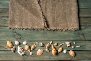 varietà di mare conchiglie su un' di legno sfondo foto